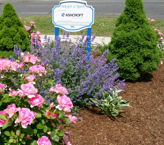 Adopt a Spot Plants Adopt a Spot Plants