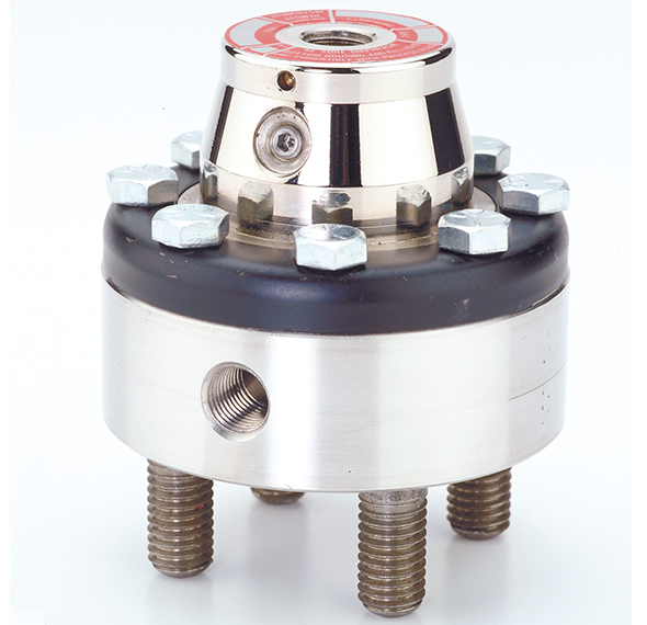 102103 Flanged Diaphragm Seals