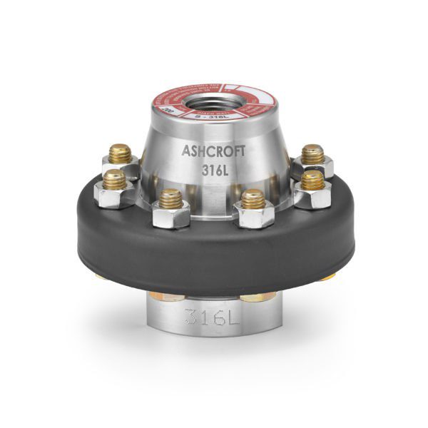 300-301 Threaded Diaphragm Seals