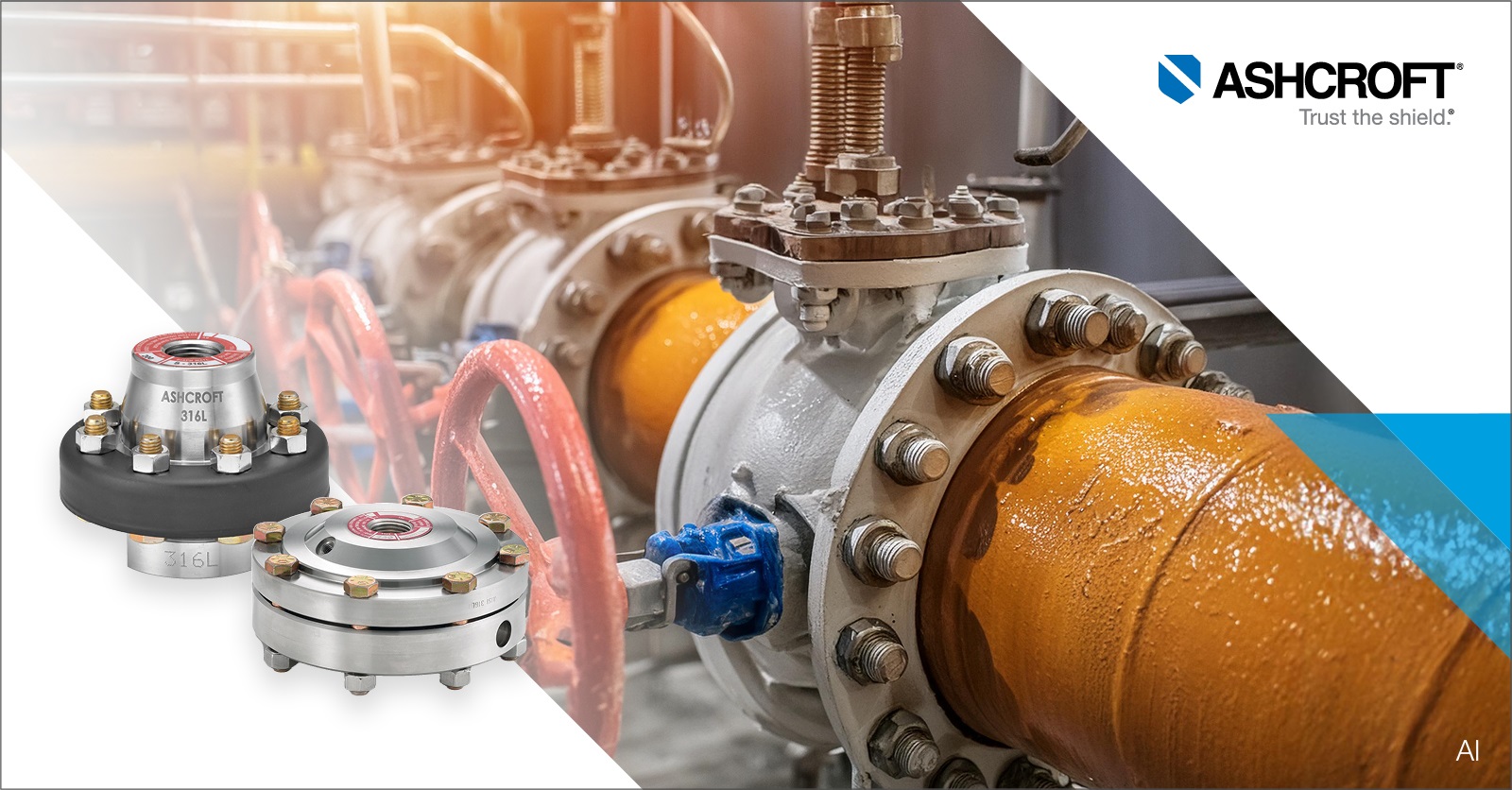 How to protect pressure instruments from different types of corrosion?