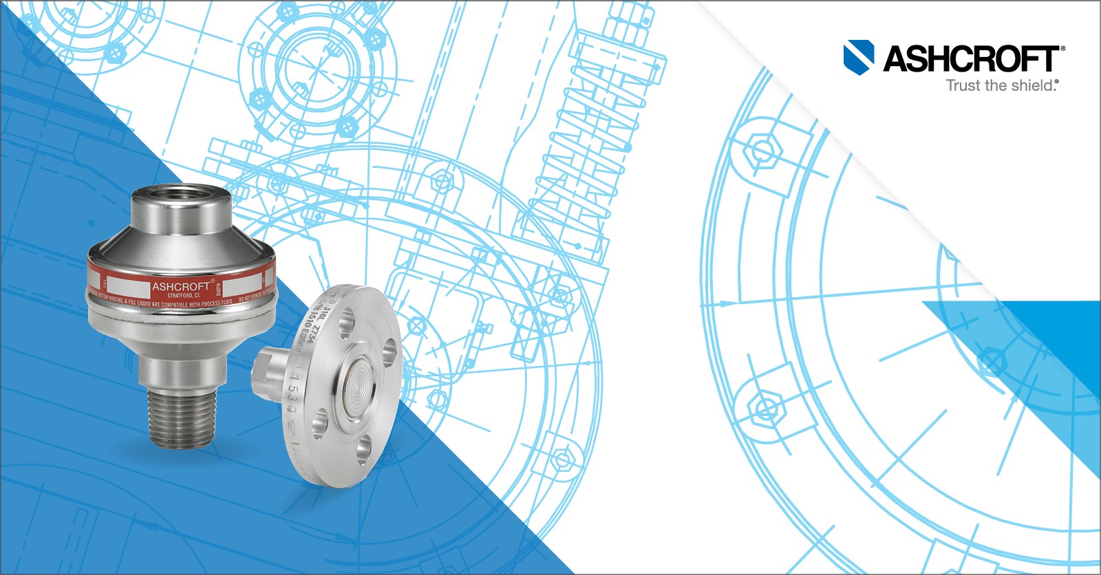 Reasons to Use a Diaphragm Seal or Isolation Ring