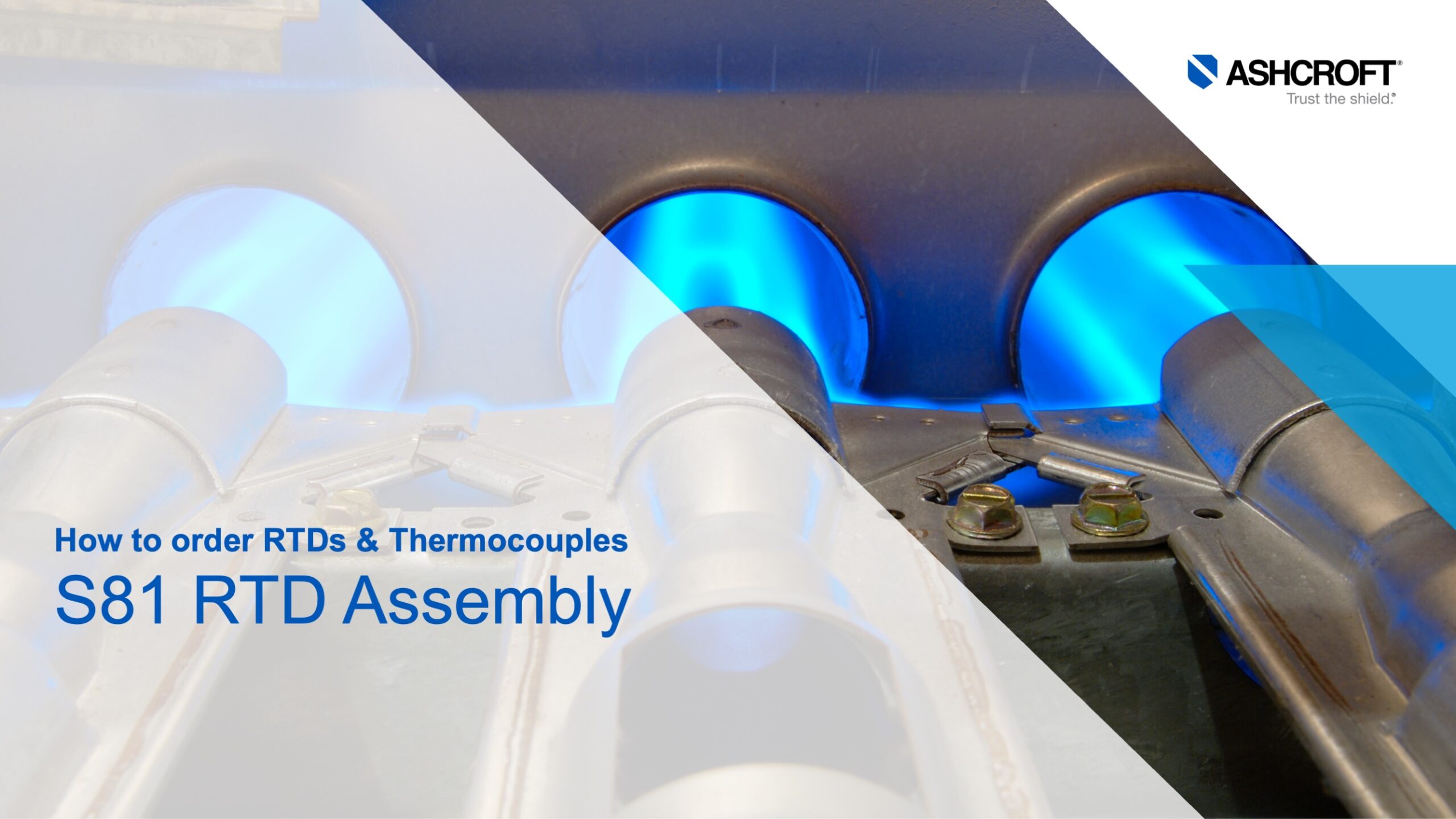 How to Order RTDs & Thermocouples - S81 RTD Assembly