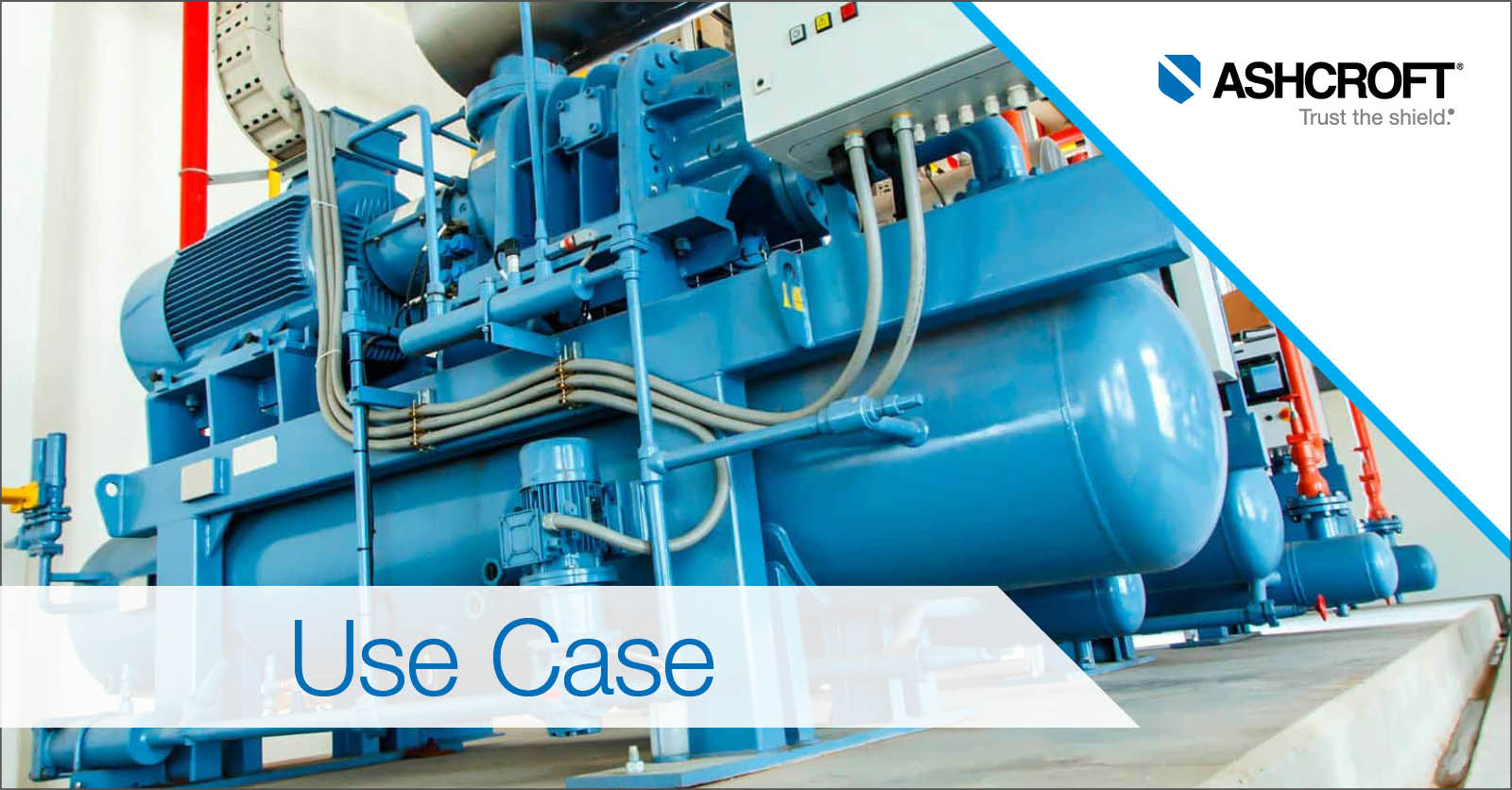 Providing Strategic Portfolio Management for a Compressor Manufacturer